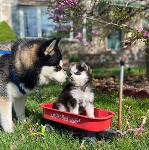 Meet your Posher, Mo